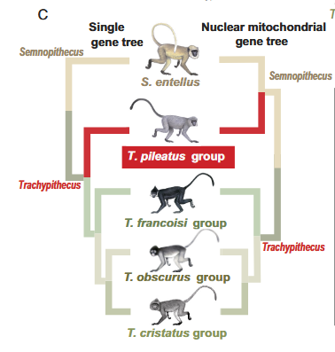 Screenshot 2026-02-04 195800.png